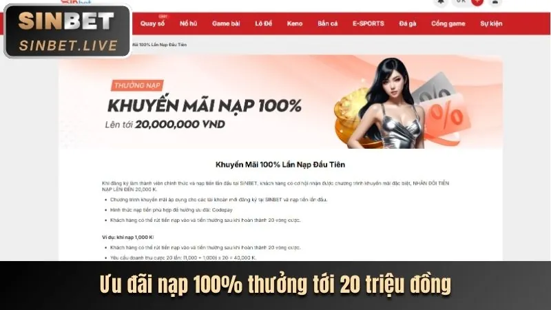 Hoàn trả hàng ngày tại AW8